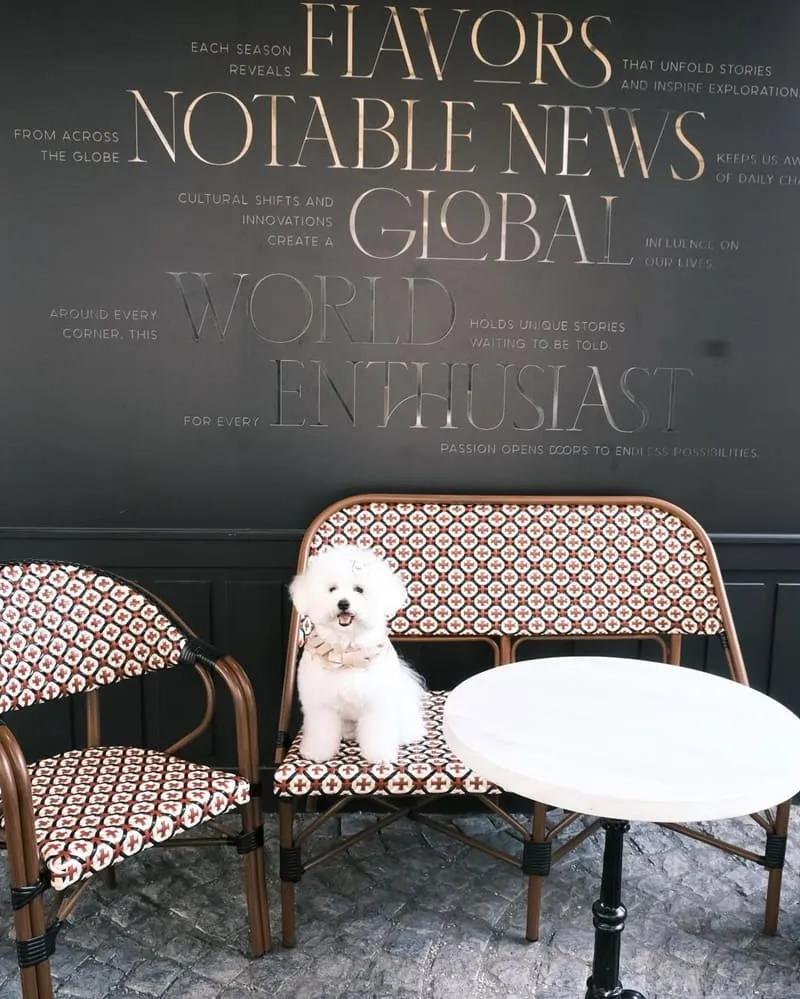 newsstand模範社區