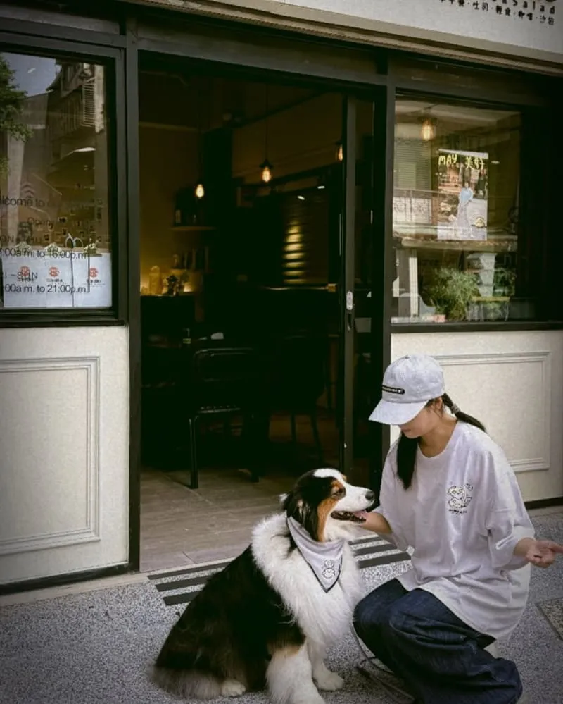 NICHU × CS Brekkie