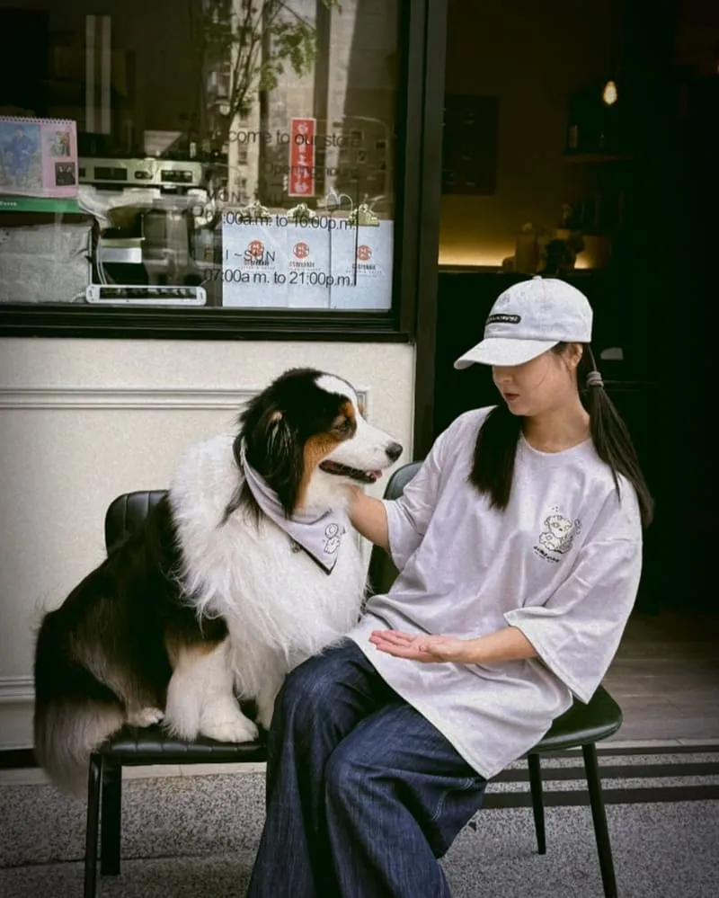 NICHU × CS Brekkie