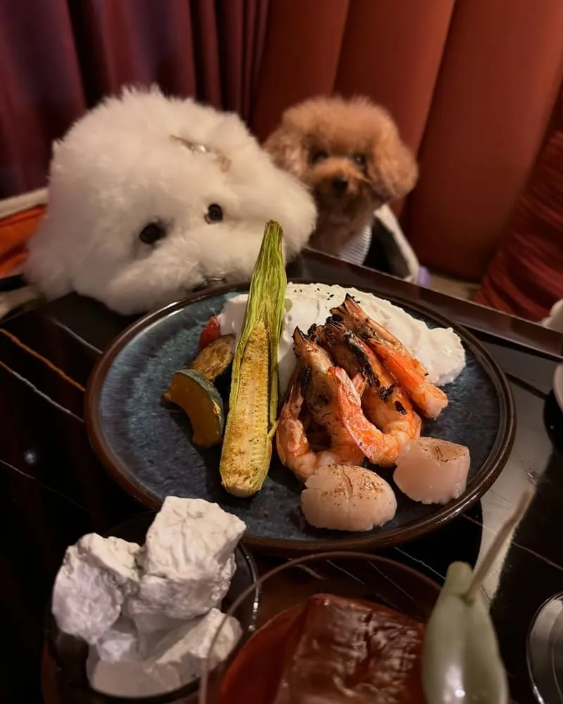 Old Vibe Bistro & Bar 老舊氛圍餐酒館