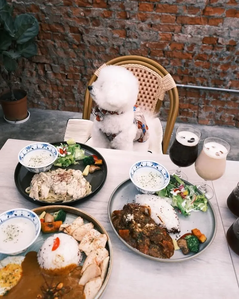 Olivia Bistro 奧莉薇雅早午餐