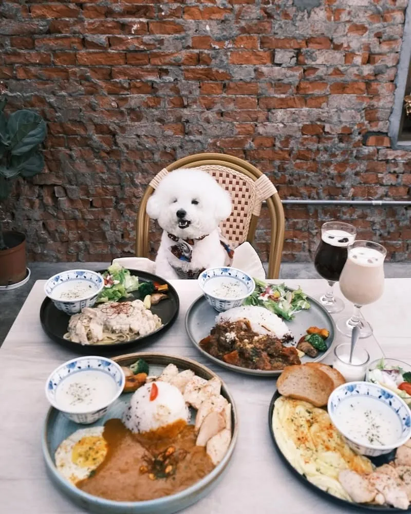 Olivia Bistro 奧莉薇雅早午餐