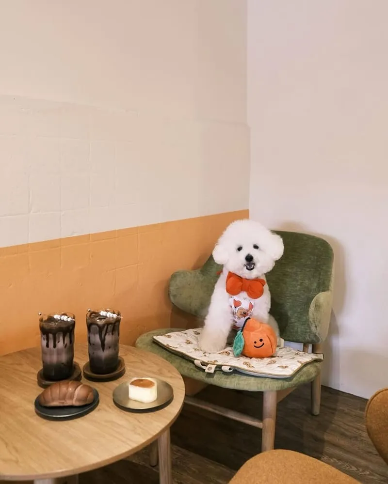 藌橘 ORANGE COFFEE & GOODS