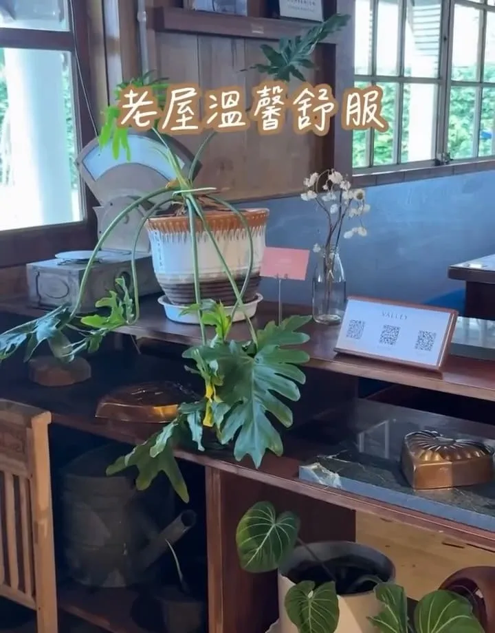 小和山谷 Peaceful Valley