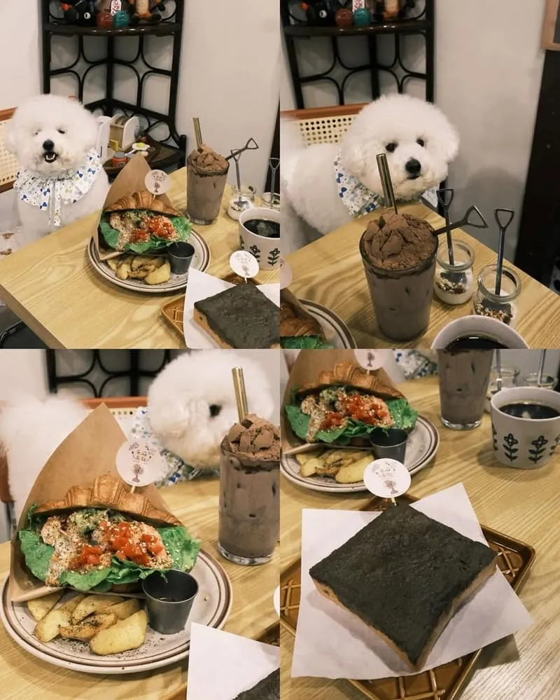 飛魚．魚雁商號