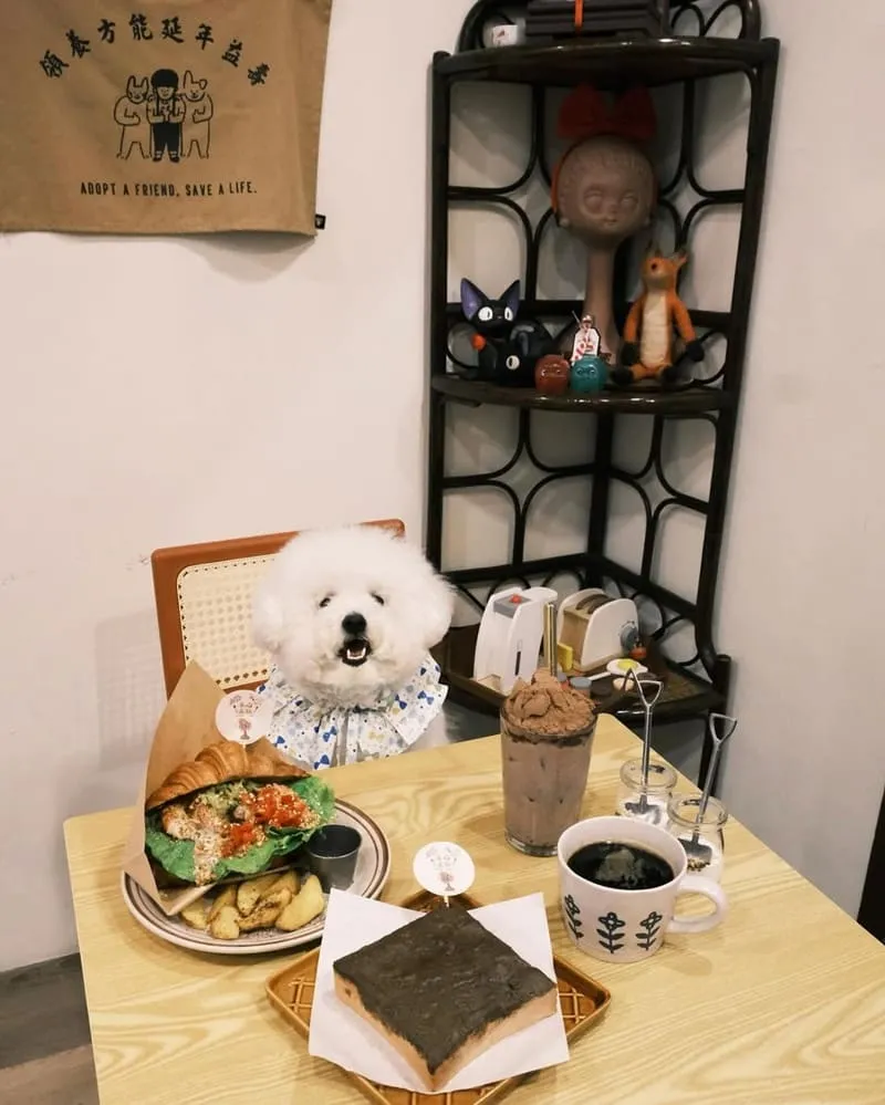 飛魚．魚雁商號