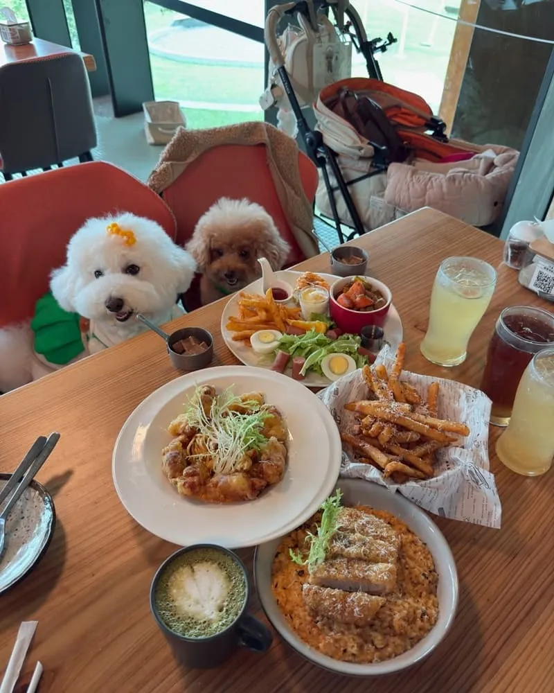 宜蘭芒草Café