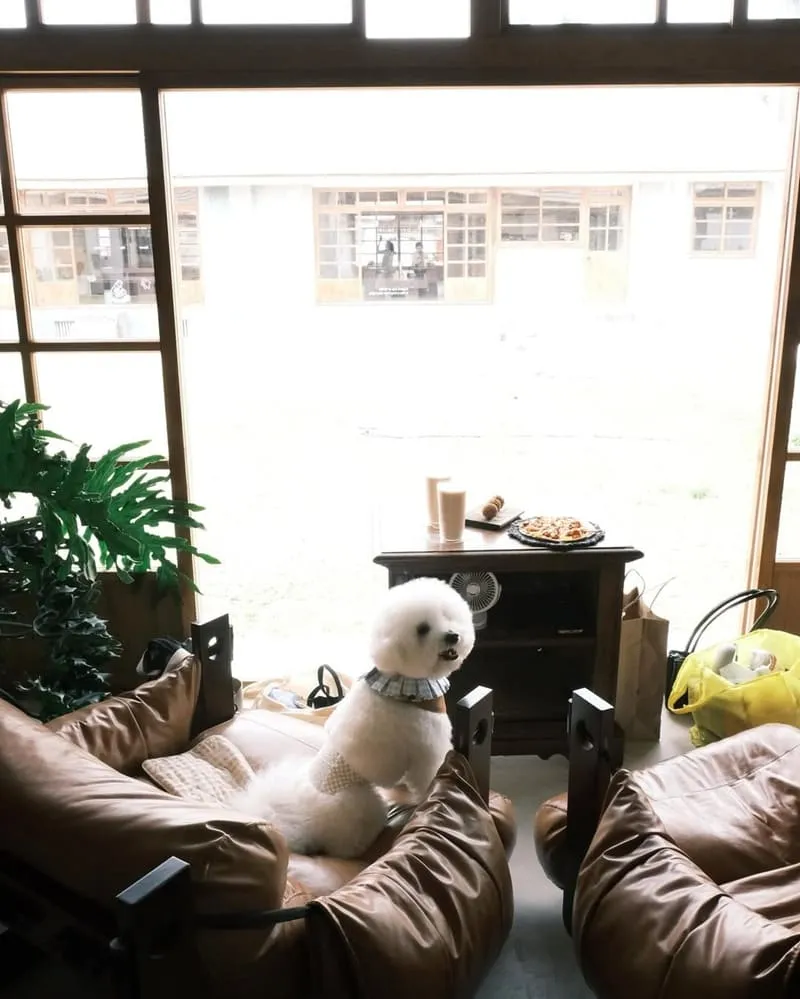 致日子黃埔新村店