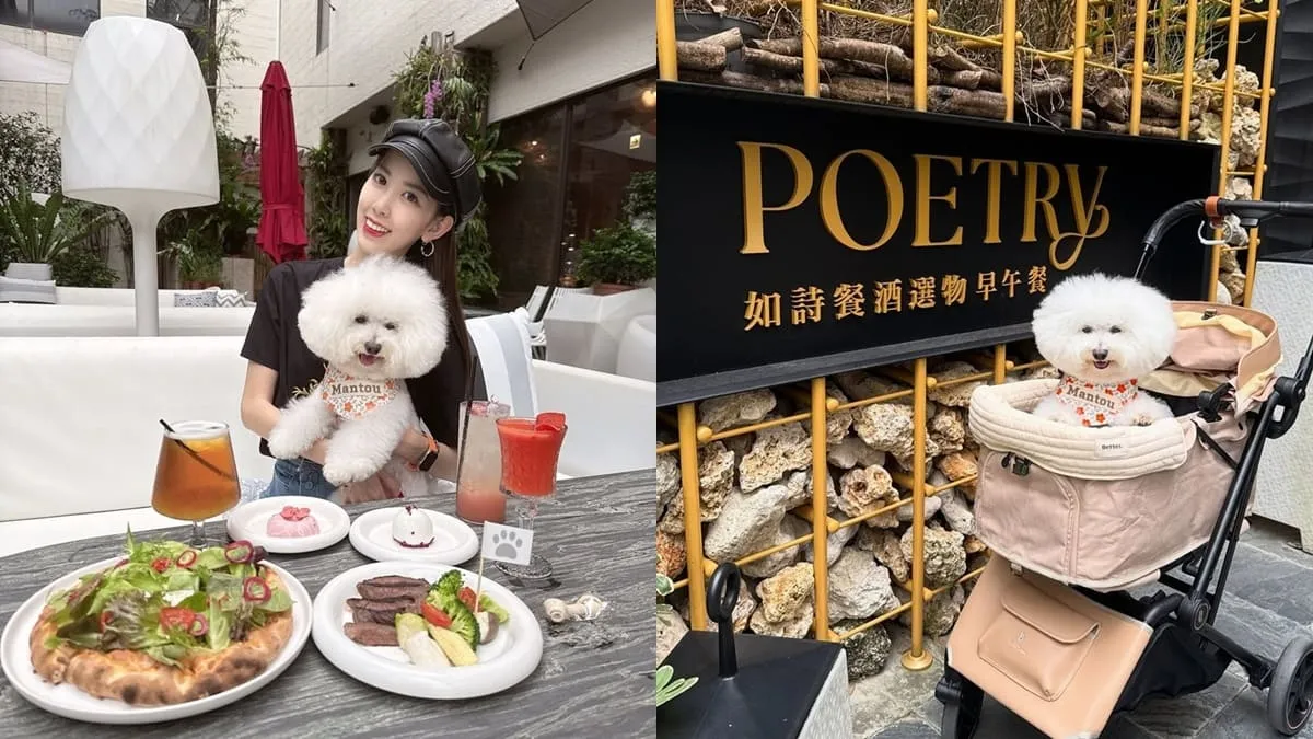 Poetry如詩：大直寵物友善餐酒館