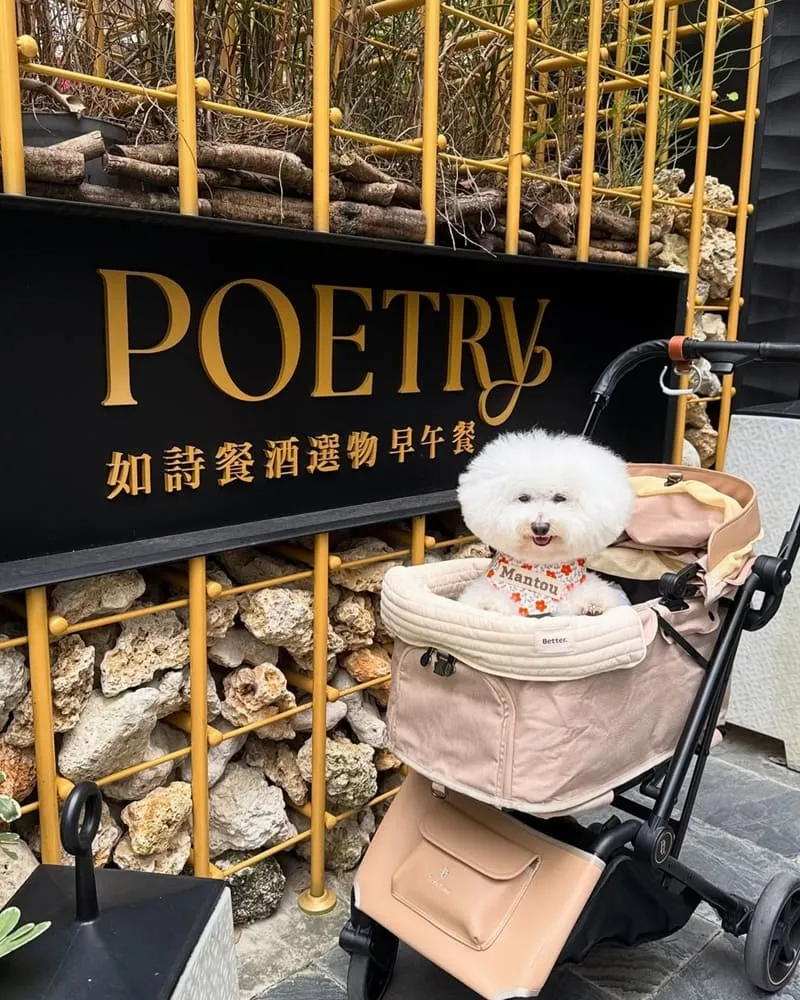 Poetry如詩：大直寵物友善餐酒館