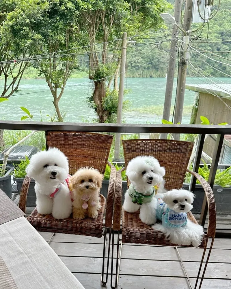 深寧咖啡館