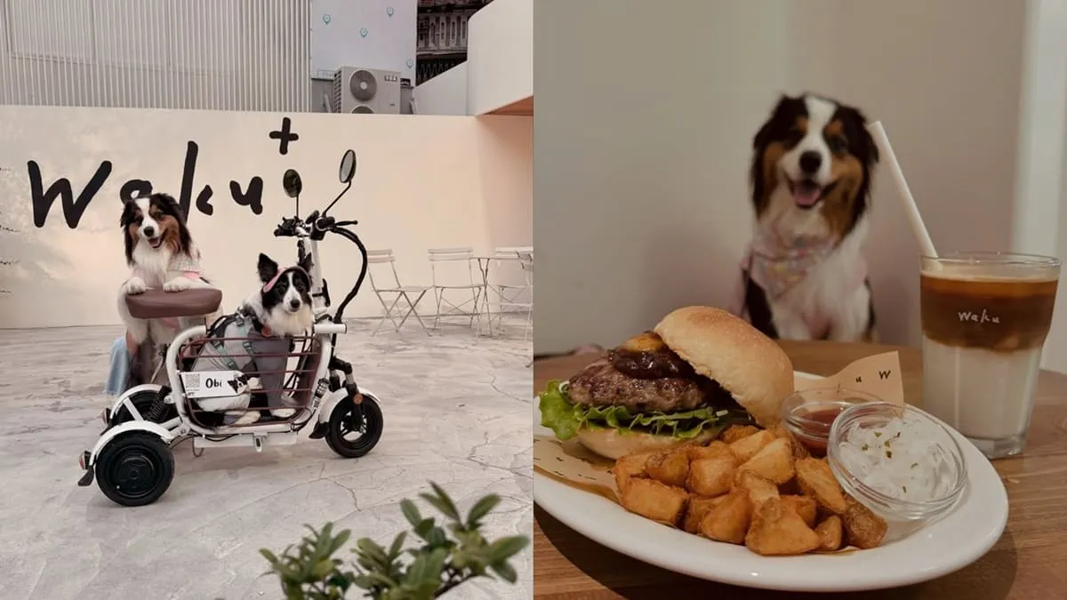 Waku⁺ burger pasta cafe