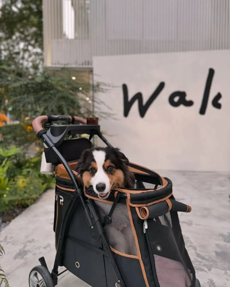 Waku⁺ burger pasta cafe|台北寵物友善漢堡義大利麵餐廳! 2 Waku⁺ burger pasta cafe