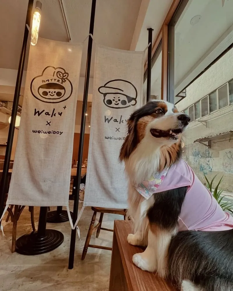 Waku⁺ burger pasta cafe