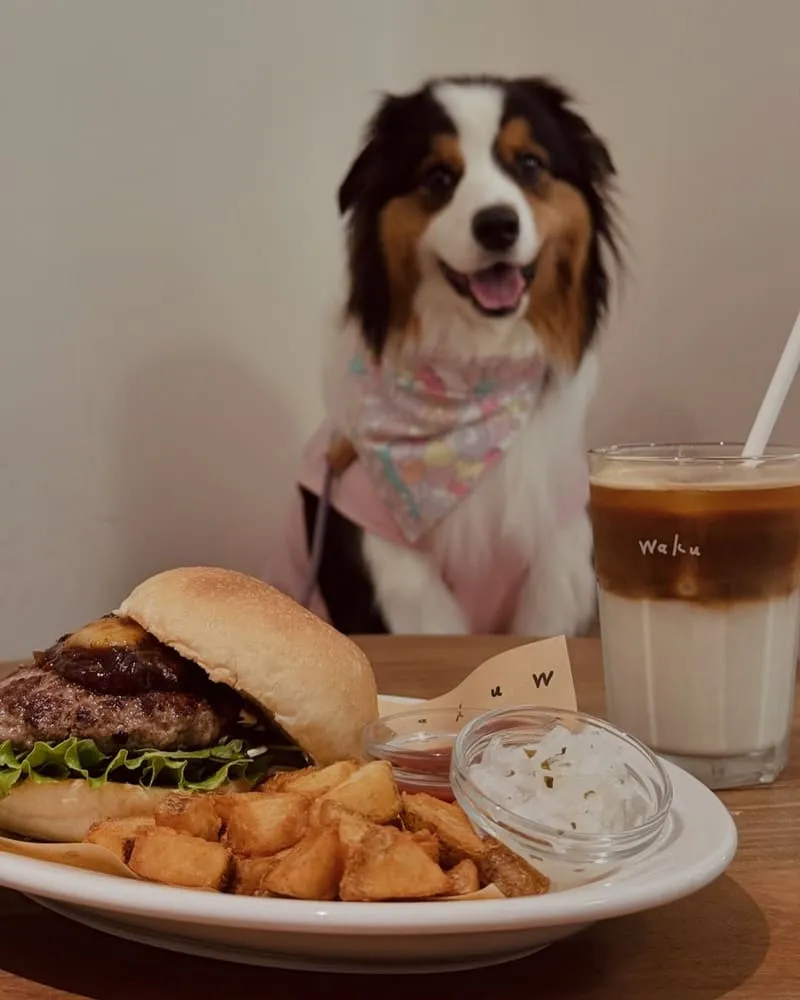 Waku⁺ burger pasta cafe