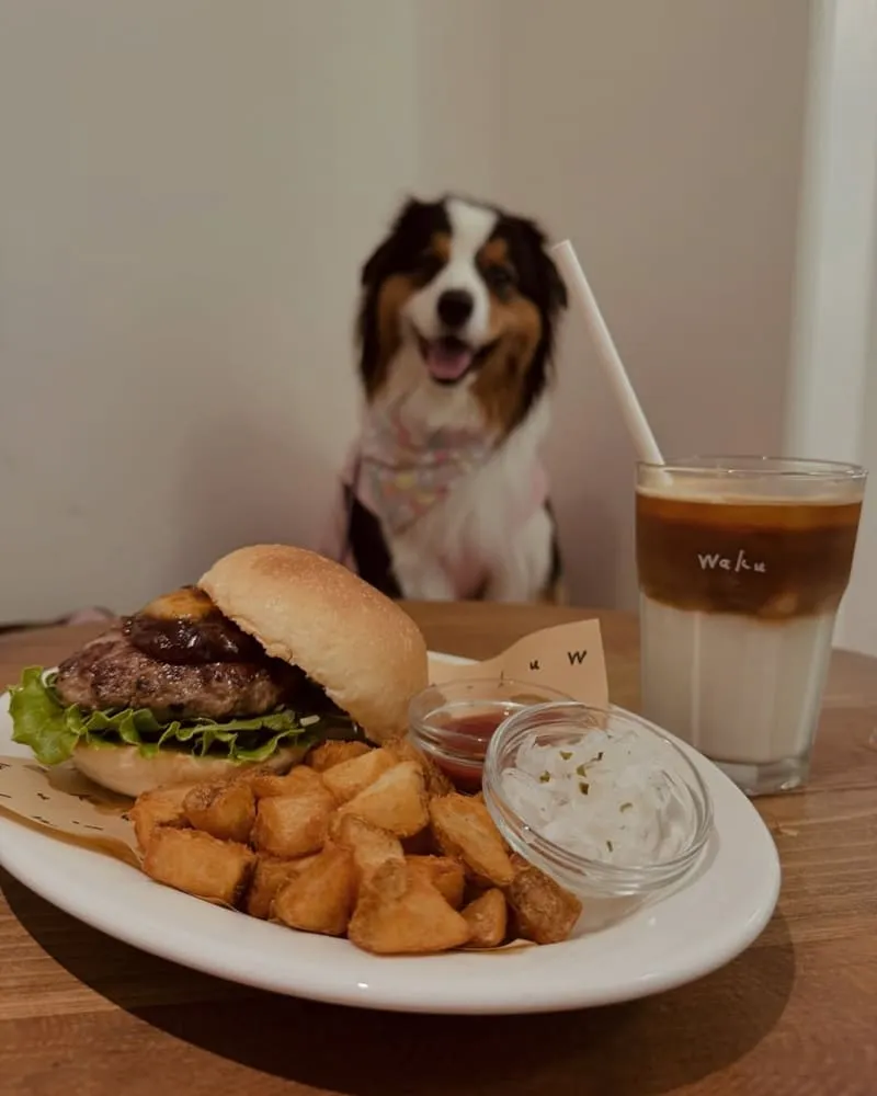 Waku⁺ burger pasta cafe