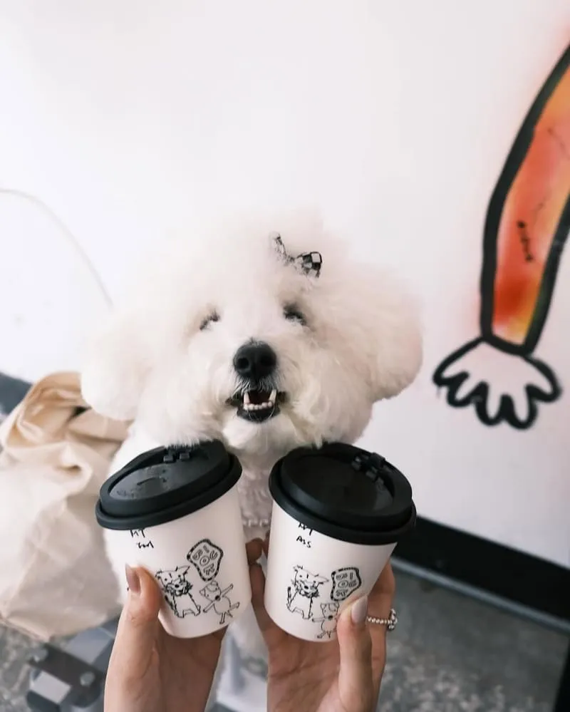 BlOCK COFFEE宜蘭五結咖啡廳
