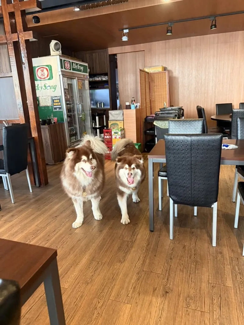 驛站房東北酸白菜火鍋五權店