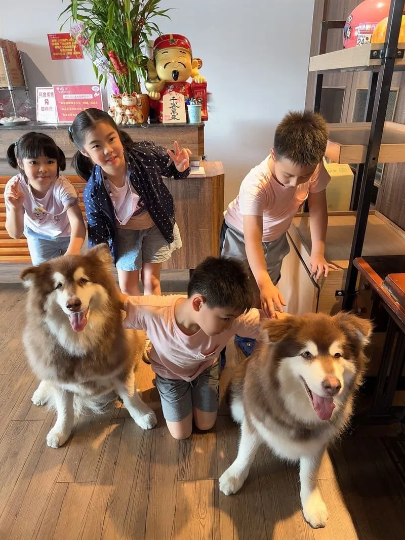 驛站房東北酸白菜火鍋五權店