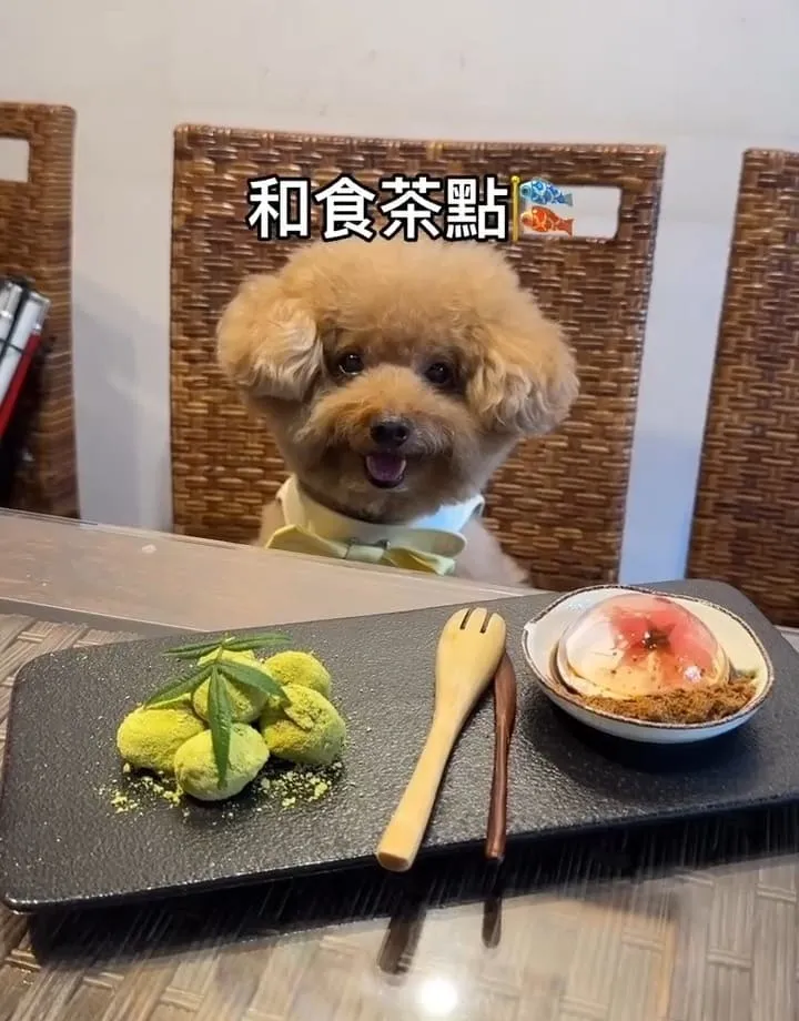 四方青松茶屋