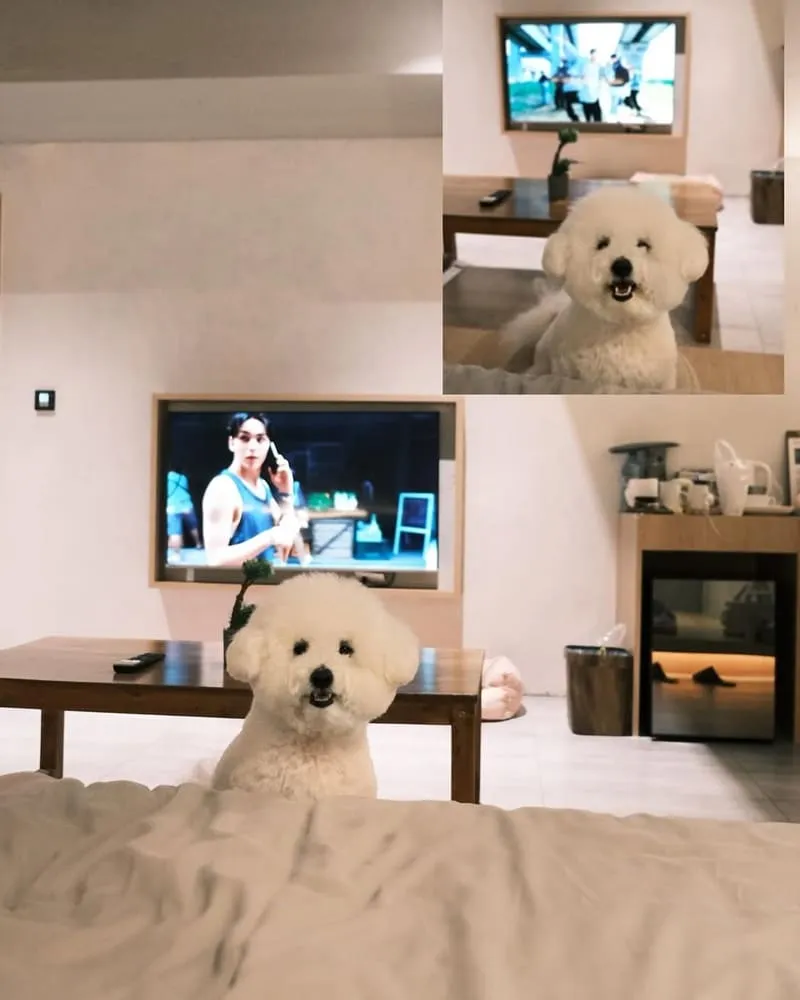宜蘭東旅 Hotel East Yilan