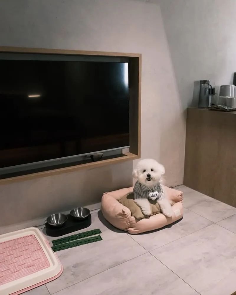 宜蘭東旅 Hotel East Yilan