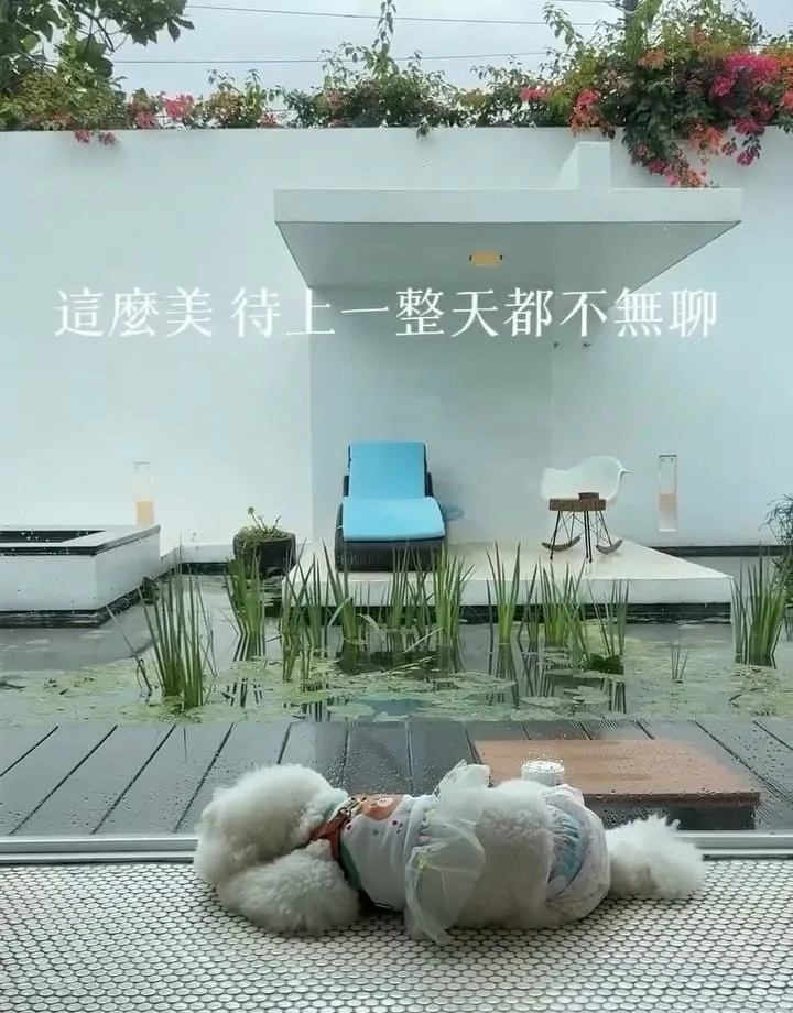 後湖水月Villa
