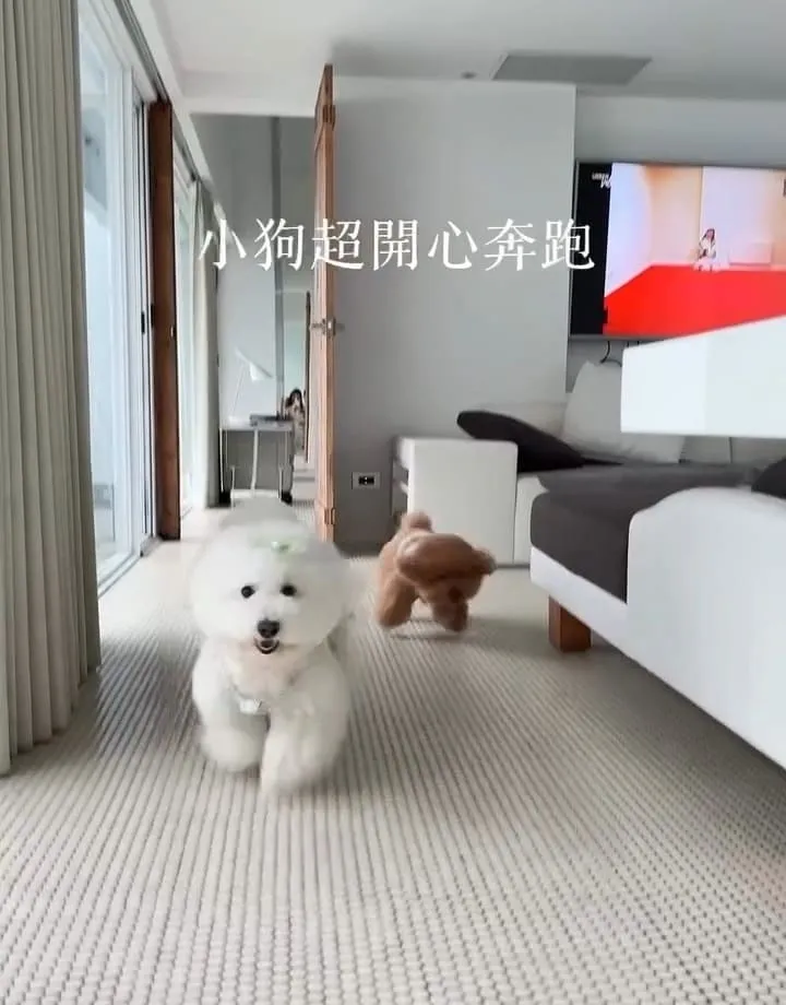 後湖水月Villa