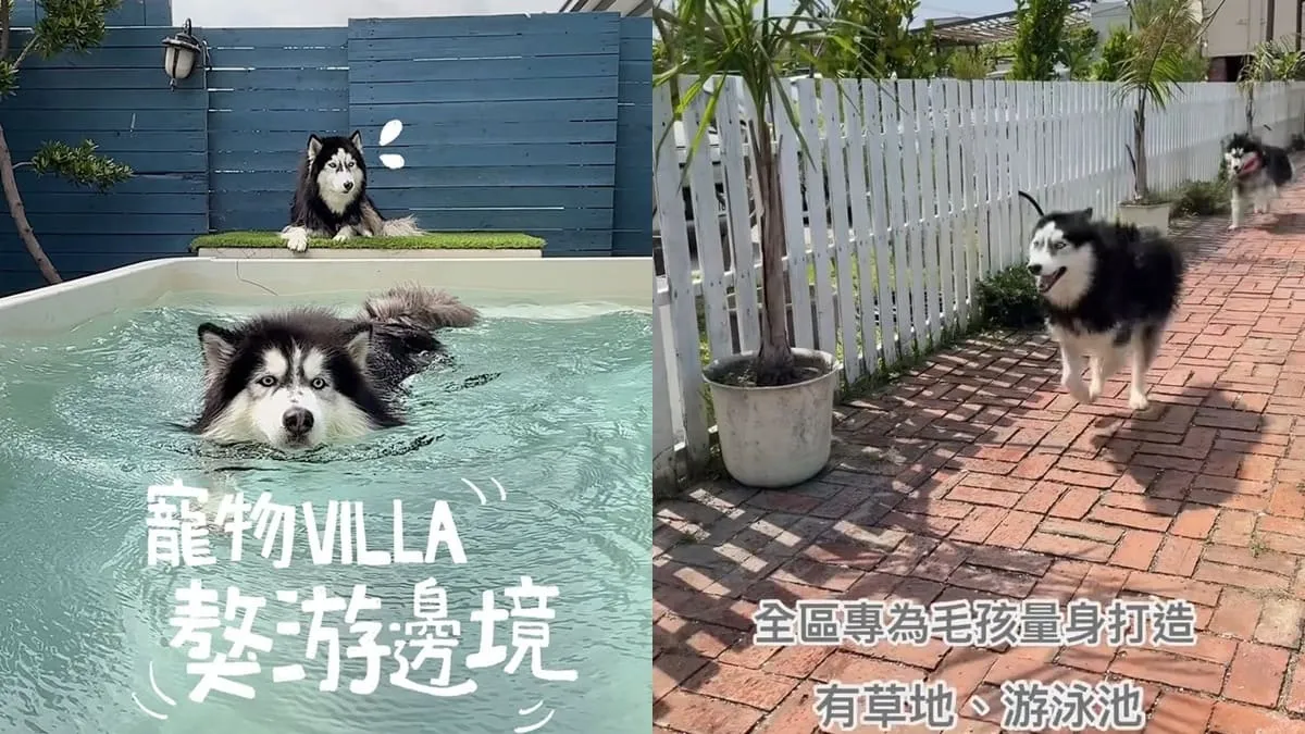 獒游邊境寵物Villa