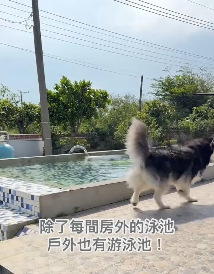 獒游邊境寵物Villa