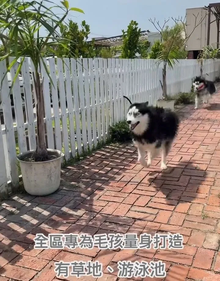 獒游邊境寵物Villa