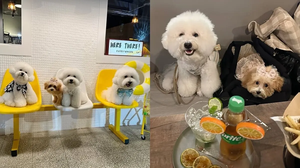 這兒那兒餐酒館