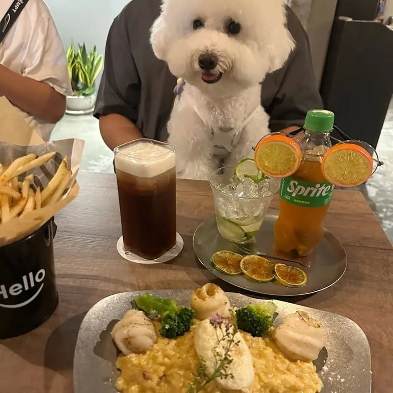 這兒那兒餐酒館