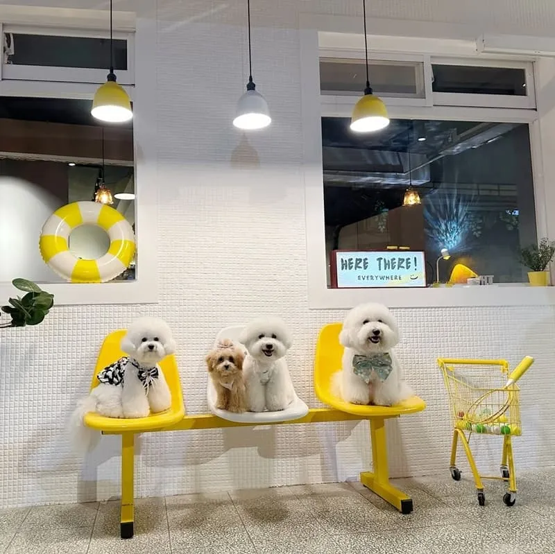 這兒那兒餐酒館