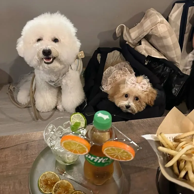 這兒那兒餐酒館