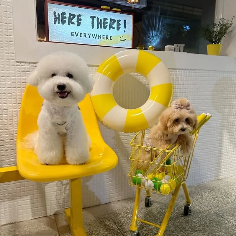這兒那兒餐酒館