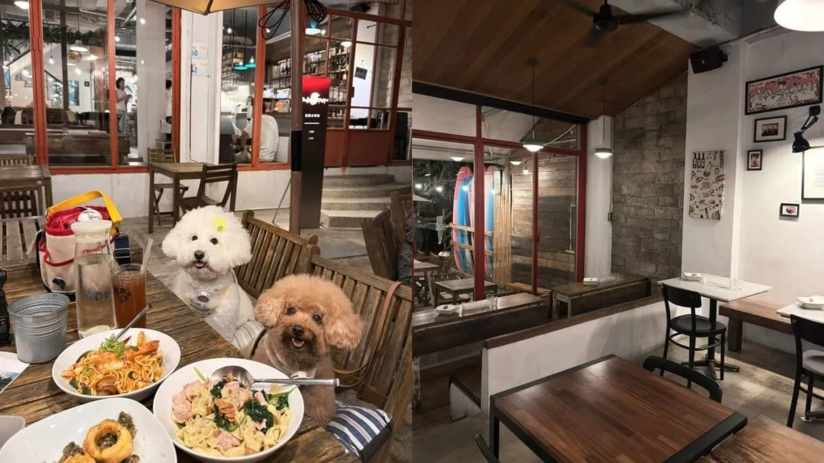 迷路小章魚餐酒館
