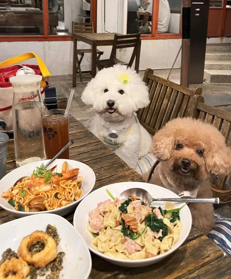 迷路小章魚餐酒館
