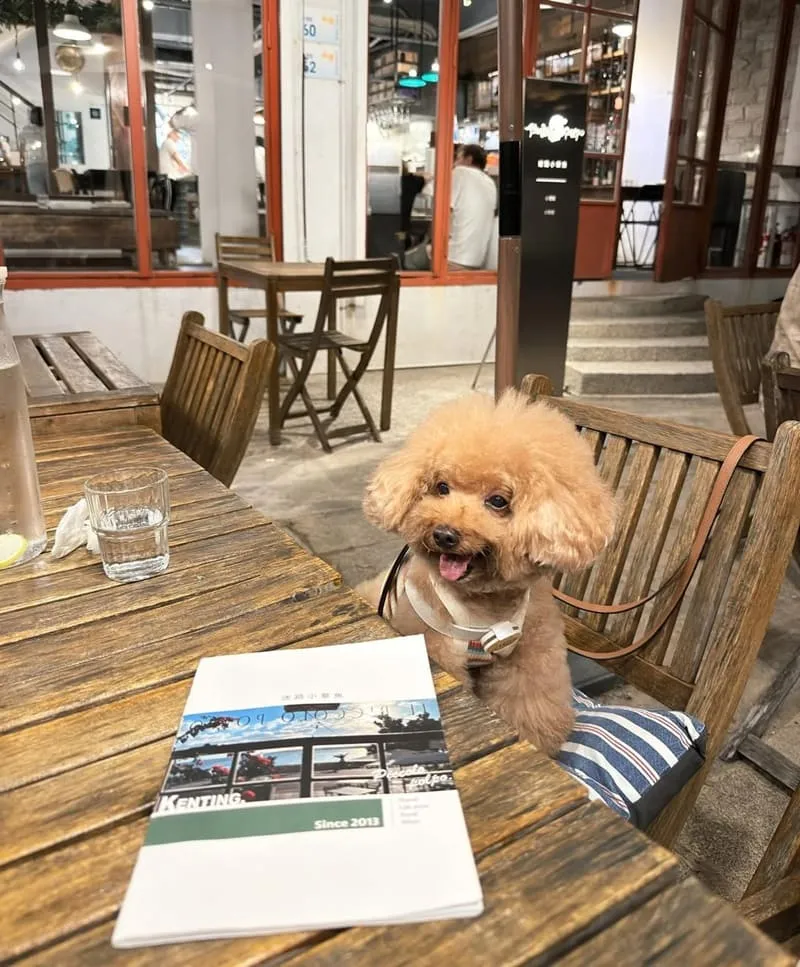 迷路小章魚餐酒館