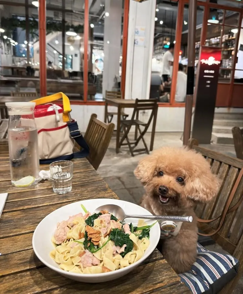 迷路小章魚餐酒館