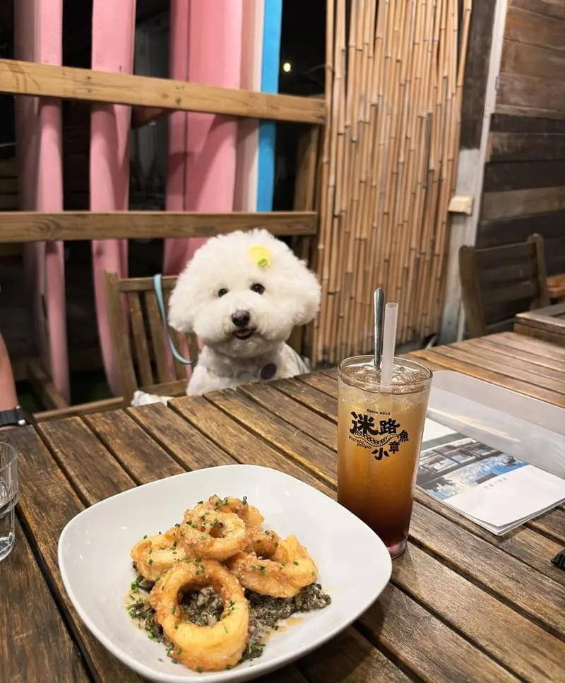 迷路小章魚餐酒館