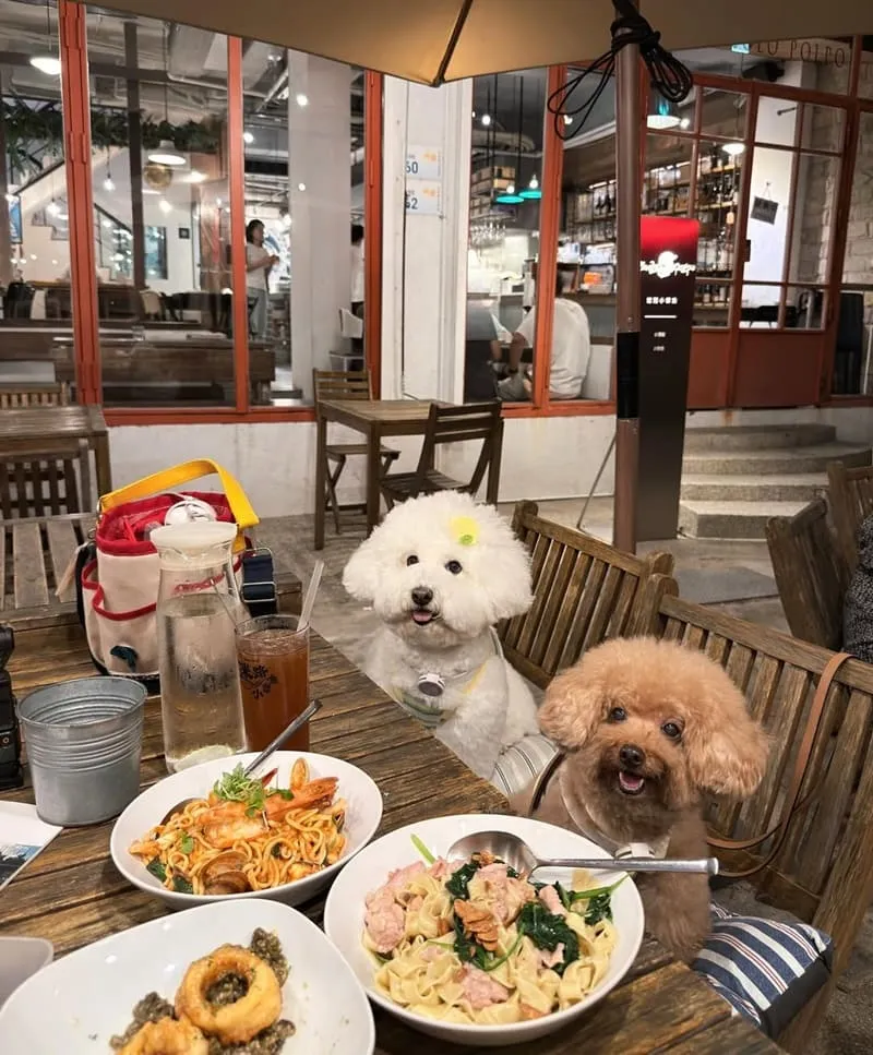 迷路小章魚餐酒館