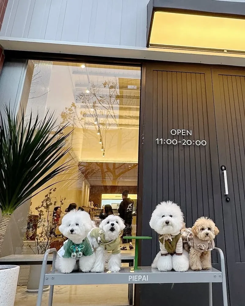 Piepai青埔店