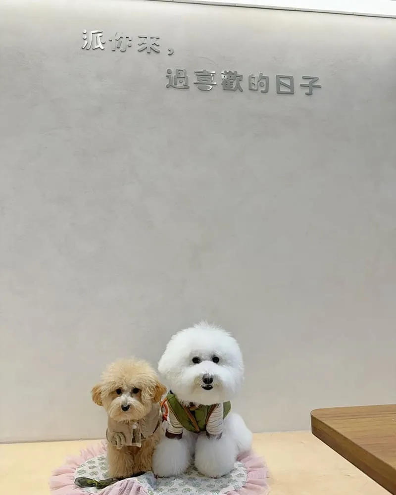 Piepai青埔店