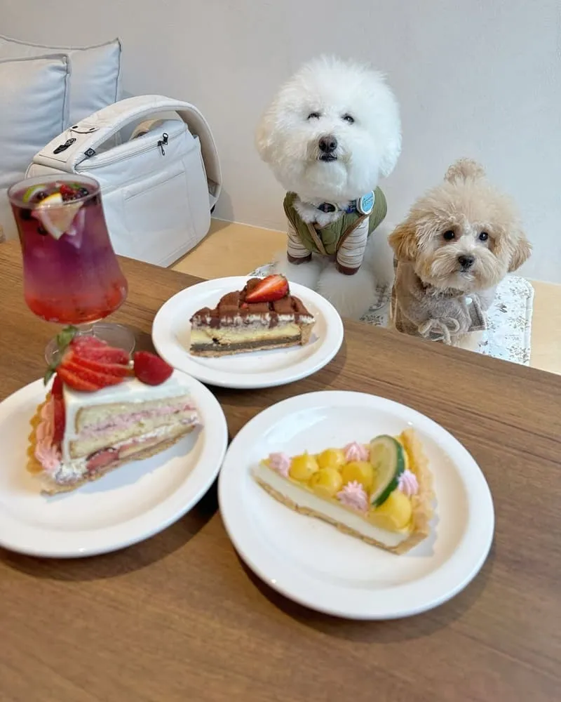 Piepai青埔店