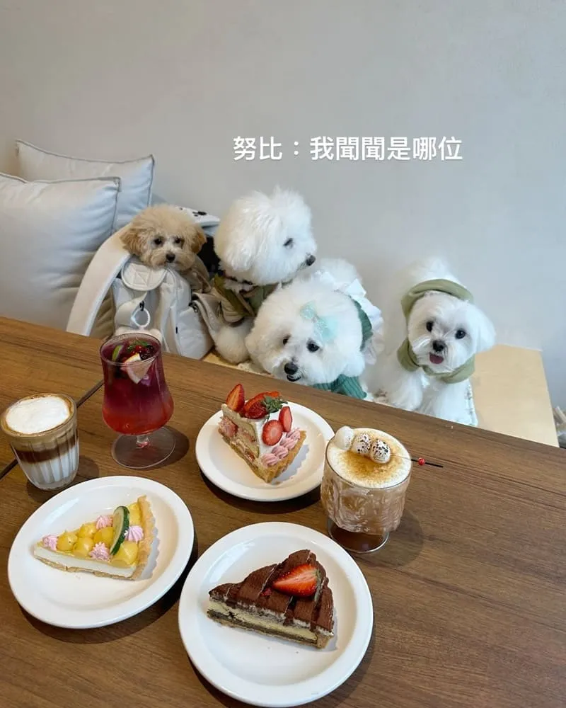 Piepai青埔店