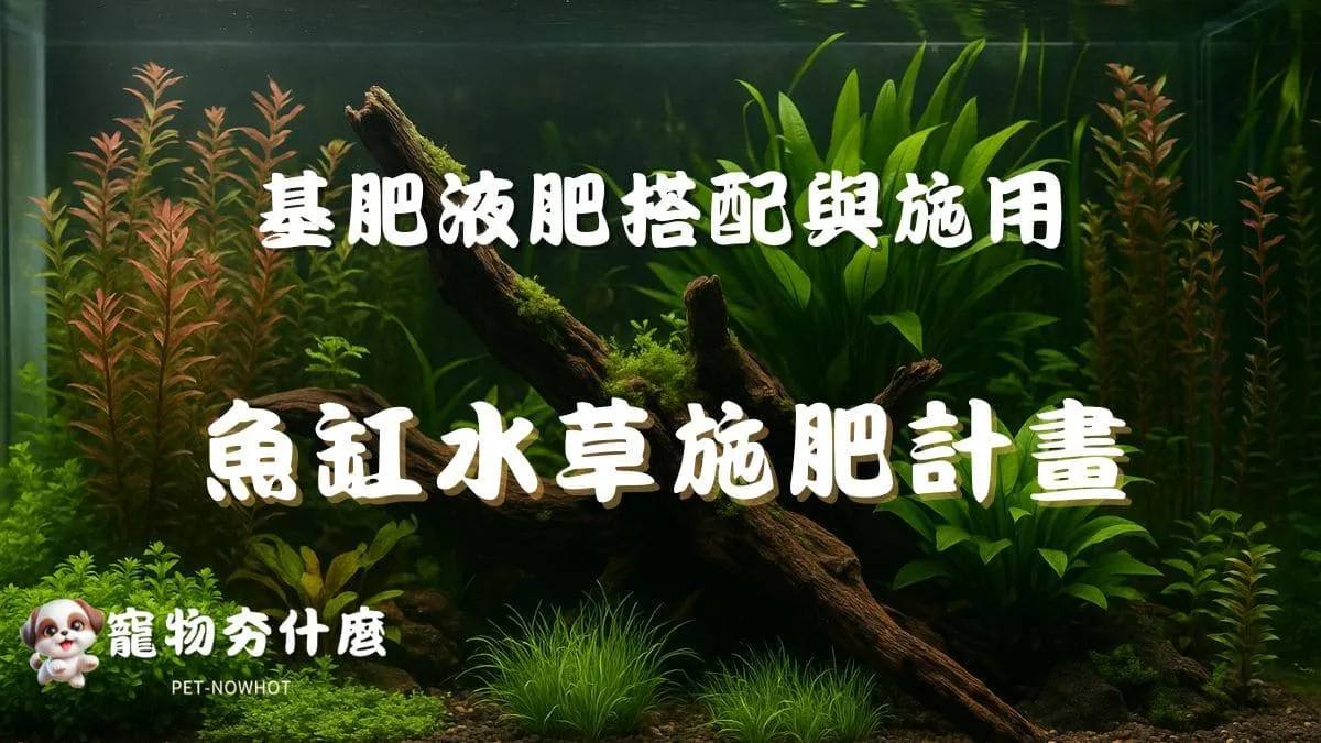 魚缸水草施肥計畫指南