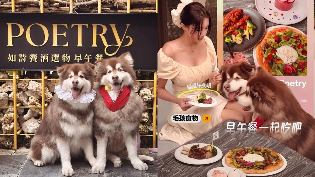 Poetry 如詩｜大直早午餐、餐酒館