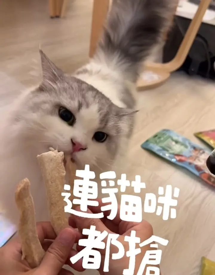 撥撥凍乾「虱目魚柳」評測