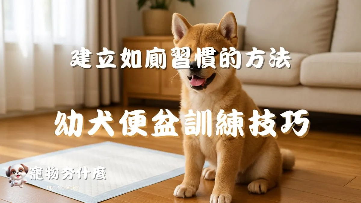 幼犬便盆訓練技巧
